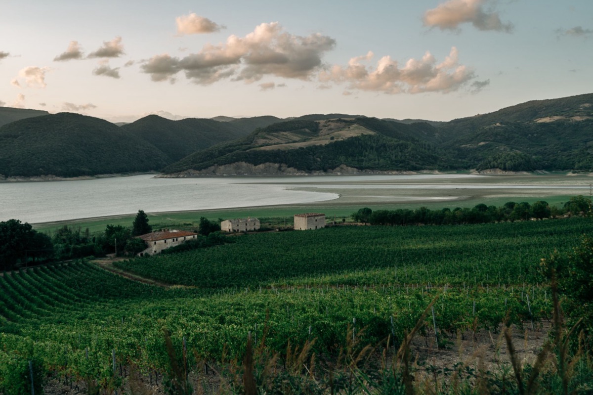 vinho España