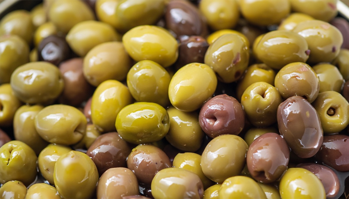 usine de production d'huile d'olive