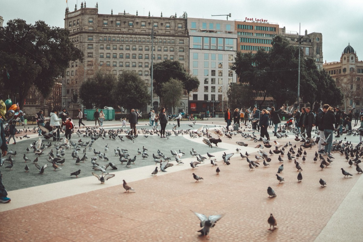 Seueta-Immigranten in der öffentlichen Plaza